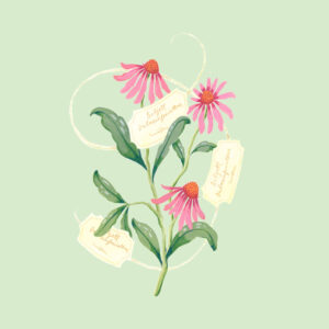 Låna biljetter till Dalasinfoniettans konserter!