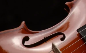 Dalasinfoniettan söker 2:e Konsertmästare